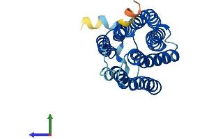 AlphaFold protein structure predicition of Human Recombinant MMD Protein, UniprotID Q15546 (MMD Protein (AA 1-238) (His tag))