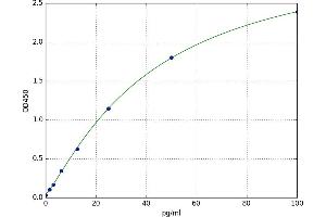 F-Box Protein 32 (FBXO32) ELISA Kit