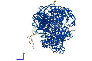 AlphaFold protein structure predicition of Human Recombinant AOX1 Protein, UniprotID Q06278