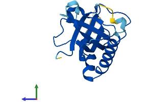 AlphaFold protein structure predicition of Human Recombinant RFK Protein, UniprotID Q969G6 (Riboflavin Kinase Protein (RFK) (AA 1-155) (His tag))