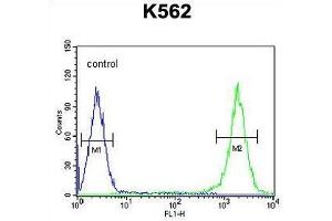 TFAM Antibody (C-term) flow cytometric analysis of K562 cells (right histogram) compared to a negative control cell (left histogram).