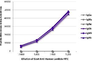 FLISA plate was coated with purified human IgGκ, IgMκ, IgAκ, IgGλ, IgMλ, and IgAλ. (Goat anti-Human Ig (Chain lambda) Antibody)