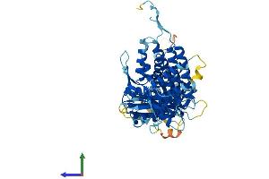 AlphaFold protein structure predicition of Mouse Recombinant Mkks Protein, UniprotID Q9JI70 (MKKS Protein (AA 1-570) (His tag))