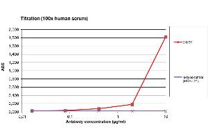 ELISA detection of IgG in human serum using HRP conjugated EM-07 antibody against IgG Fc fragment. (Mouse anti-Human IgG Fc (Fc Region) Antibody (HRP))