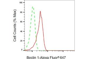 Flow cytometric analysis of Beclin 1 expression in HT- cells using Beclin 1 antibody (ABIN7797760), 1:2,000). (Recombinant Beclin 1 antibody)