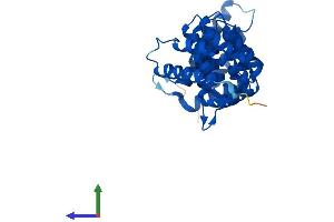 AlphaFold protein structure predicition of Human Recombinant CAB39 Protein, UniprotID Q9Y376