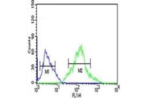 FOXP1 antibody flow cytometric analysis of Ramos cells (right histogram) compared to negative control cells (left histogram). (FOXP1 antibody  (AA 650-677))