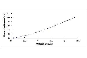 Typical standard curve (TBX3 ELISA Kit)