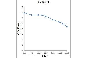 Antigen: 0. (Nck1/Nck alpha (AA 31-150) antibody)