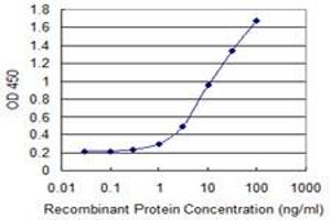 Detection limit for recombinant GST tagged COL23A1 is 0. (COL23A1 antibody  (AA 338-410))