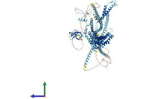 AlphaFold protein structure predicition of Human Recombinant DCTN1 Protein, UniprotID Q14203