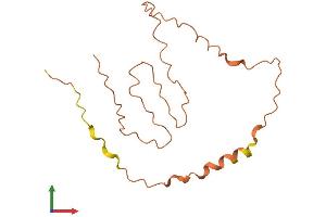 AlphaFold protein structure predicition of Human Recombinant FAM201A Protein, UniprotID Q5SY85 (FAM201A Protein (AA 1-155) (His tag))
