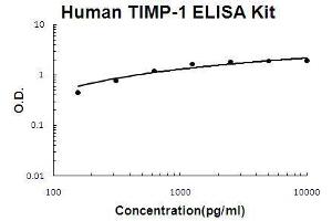 Human TIMP-1 PicoKine ELISA Kit standard curve (TIMP1 ELISA Kit)