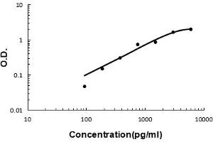 Sandwich ELISA - Recombinant human cxcl16 protein standard curve. (CXCL16 antibody  (AA 30-196))