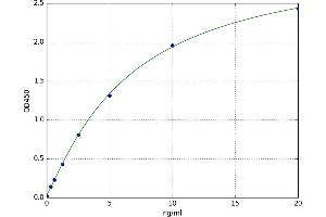 A typical standard curve (BCL2L2 ELISA Kit)