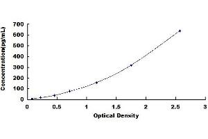 Typical standard curve (CCL2 ELISA Kit)