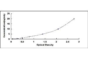 Typical standard curve (LRRC15 ELISA Kit)