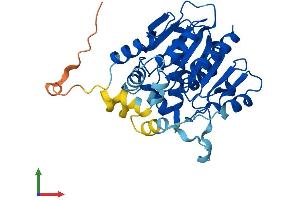 Protein Structure (PS) image for Abhydrolase Domain Containing 4 (ABHD4) (AA 1-342) protein (His tag) (ABIN7551765)