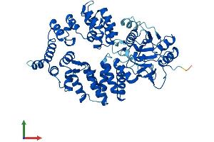 AlphaFold protein structure predicition of Human Recombinant RO60 Protein, UniprotID P10155 (TROVE2 Protein (AA 1-538) (His tag))