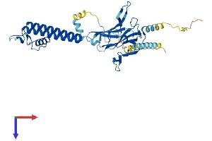 AlphaFold protein structure predicition of Human Recombinant KCNJ1 Protein, UniprotID P48048 (KCNJ1 Protein (AA 1-391) (His tag))