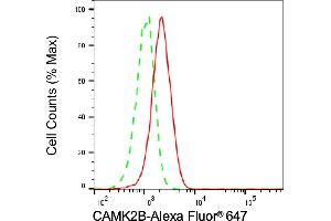 Flow cytometric analysis of CAMK2B expression in HAP-1 cells using CAMK2B antibody (ABIN7797834), 1:2,000). (Recombinant CAMK2B antibody)