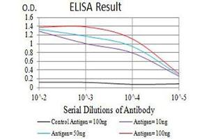 Black line: Control Antigen (100 ng),Purple line: Antigen (10 ng), Blue line: Antigen (50 ng), Red line:Antigen (100 ng) (BCL6 antibody  (AA 147-276))