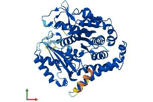 Protein Structure (PS) image for Tubulin, beta 6 (TUBb6) (AA 1-446) protein (His tag) (ABIN7544188)