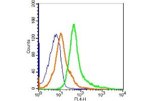 RSC96 cells probed with CD163/M130 Polyclonal Antibody, ALEXA FLUOR® 647 Conjugated (bs-2527R-A647) at 1:20 for 30 minutes compared to control cells (blue)and isotype control (orange). (CD163 antibody  (AA 1001-1121) (Alexa Fluor 647))
