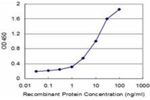 Detection limit for recombinant GST tagged SFN is approximately 0. (14-3-3 sigma/SFN antibody  (AA 1-248))