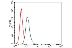 Flow Cytometry (FACS) image for anti-Hyaluronan Synthase 3 (HAS3) antibody (ABIN1845757) (HAS3 antibody)