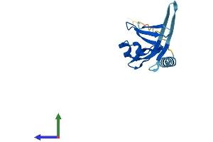 AlphaFold protein structure predicition of Human Recombinant TAFA5 Protein, UniprotID Q7Z5A7