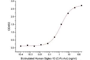 ELISA image for Sialic Acid Binding Ig-Like Lectin 10 (SIGLEC10) (Active) protein (Biotin) (ABIN7319878) (SIGLEC10 Protein (Biotin))