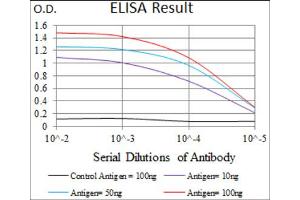 Red: Control Antigen (100ng) ; Purple: Antigen (10ng) ; Green: Antigen (50ng) ; Blue: Antigen (100ng). (EGFR Mutant (AA 693-893), (Mutant) antibody)