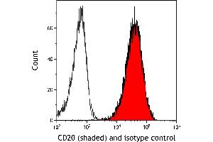 Flow Cytometry (FACS) image for anti-Membrane-Spanning 4-Domains, Subfamily A, Member 1 (MS4A1) antibody (ABIN7449560)