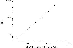 Typical standard curve (Caspase 12 CLIA Kit)