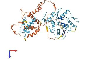 Protein Structure (PS) image for Zinc Finger Protein 302 (ZNF302) (AA 1-478) protein (His tag) (ABIN7545458)