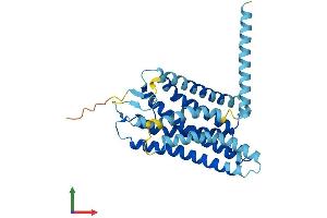 AlphaFold protein structure predicition of Human Recombinant OR6S1 Protein, UniprotID Q8NH40 (OR6S1 Protein (AA 1-331) (His tag))