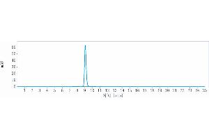 anti-TNFRSF12A (Enavatuzumab Biosimilar) antibody