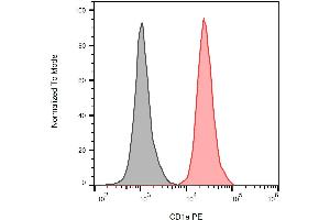 Detection of human CD1a on the surface of MOLT-4 cells using anti-human CD1a PE. (CD1a antibody  (PE))