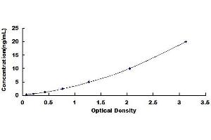 Typical standard curve (SLC40A1 ELISA Kit)