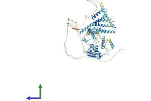 AlphaFold protein structure predicition of Human Recombinant CACTIN Protein, UniprotID Q8WUQ7 (CACTIN Protein (AA 1-758) (His tag))