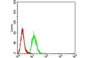 Flow cytometric analysis of Hela cells using KDM3A mouse mAb (green) and negative control (red). (KDM3A antibody  (AA 311-445))