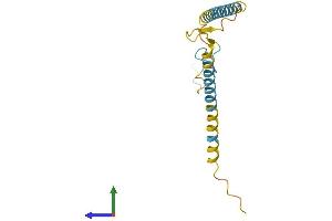 AlphaFold protein structure predicition of Mouse Recombinant Srek1ip1 Protein, UniprotID Q4V9W2