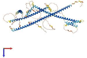 AlphaFold protein structure predicition of Human Recombinant USHBP1 Protein, UniprotID Q8N6Y0 (USHBP1 Protein (AA 1-703) (His tag))
