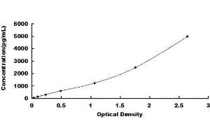 Typical standard curve (KTN1 ELISA Kit)