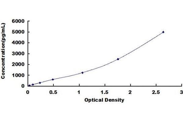 KTN1 ELISA Kit