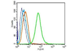 Raji cells probed with 	Transferrin receptor Polyclonal Antibody, Unconjugated  at 1:100 for 30 minutes followed by incubation with a conjugated secondary (PE Conjugated) (green) for 30 minutes compared to control cells (blue), secondary only (light blue) and isotype control (orange). (Transferrin Receptor antibody  (AA 621-720))