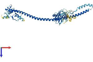 Protein Structure (PS) image for Tripartite Motif Containing 64 (TRIM64) (AA 1-449) protein (His tag) (ABIN7544773)