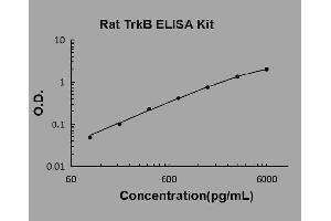 Neurotrophic Tyrosine Kinase, Receptor, Type 2 (NTRK2) ELISA Kit