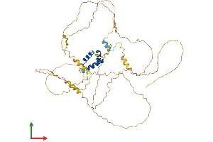 Protein Structure (PS) image for Iroquois Homeobox Protein 4 (IRX4) (AA 1-519) protein (His tag) (ABIN7548557)